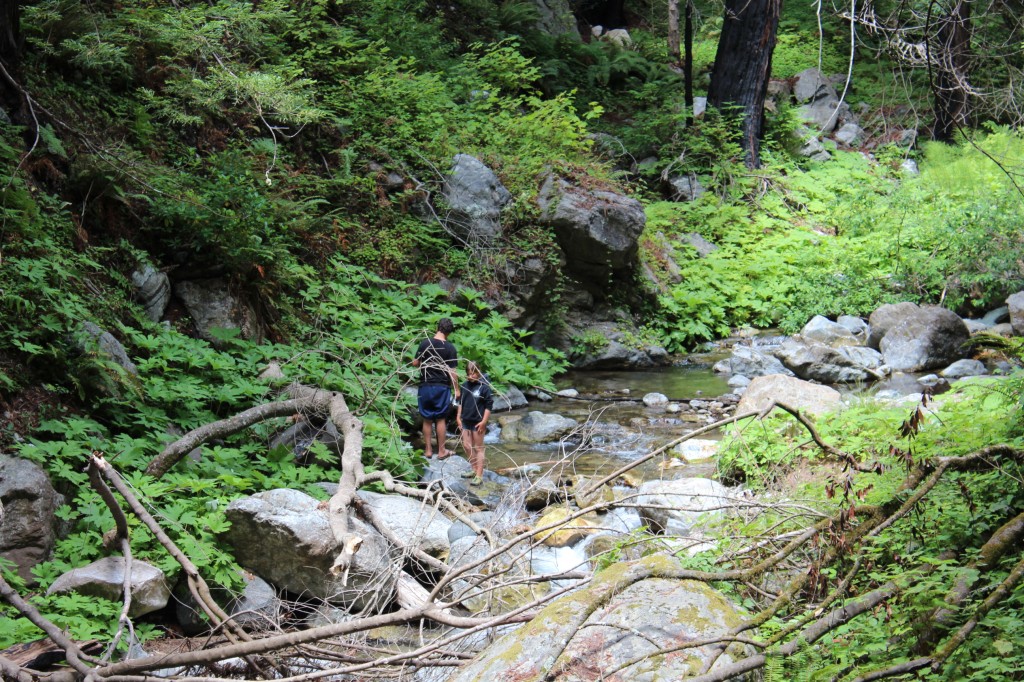 Kids and nature, getting outdoors for a better life. (Image © Janine Boylan)