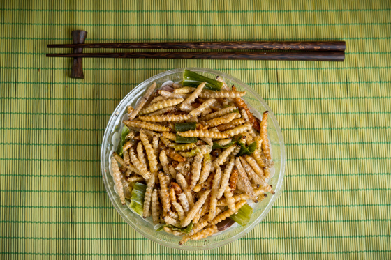 fried worms, showing new views on eating insects as food