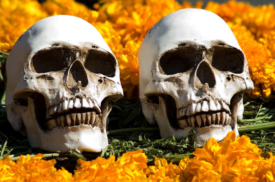 Skulls at the Day of the Dead in Mexico, part of Halloween traditions and cultural traditions