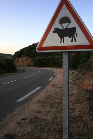 Floating cow sign, artistic expression by a country street artist (Image © Sheila Clementson)