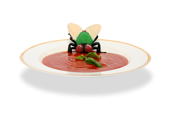 A fly in soup, illustrating new views on eating insects as food
