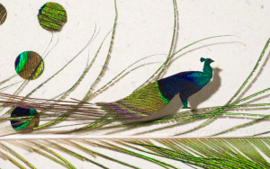 Peacock Attraction, by Chris Maynard, showing life's wonders in feather art (© Chris Maynard)