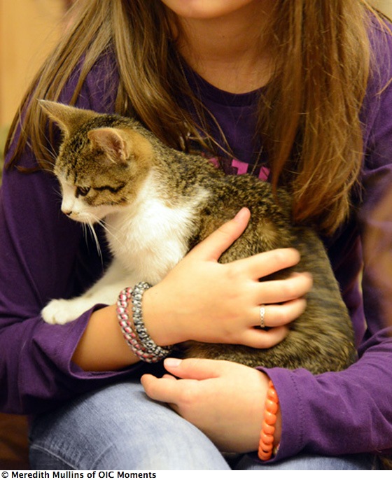 Girl in purple holding cat, living a happier life at the Paris Cat Café (Photo © Meredith Mullins)