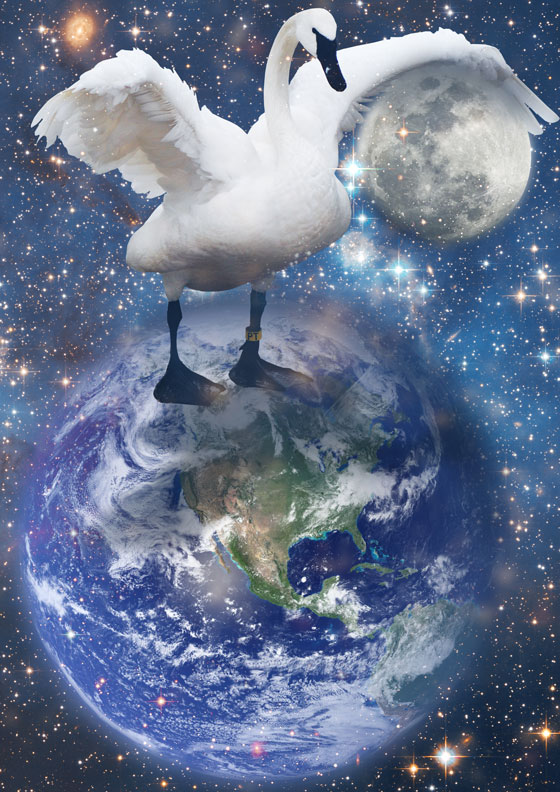 Swan standing on planet Earth, representing a Chinese gift giving legend. Image © Denis Zaporozhtsev / Hemera. 