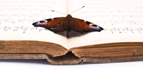 A butterfly on a musical score, symbolizing Jonathan Tessero's life passion for music and his search for Offenbach's original music to the ballet, Le papillon. (Image © Anna Maria Thor / iStock)