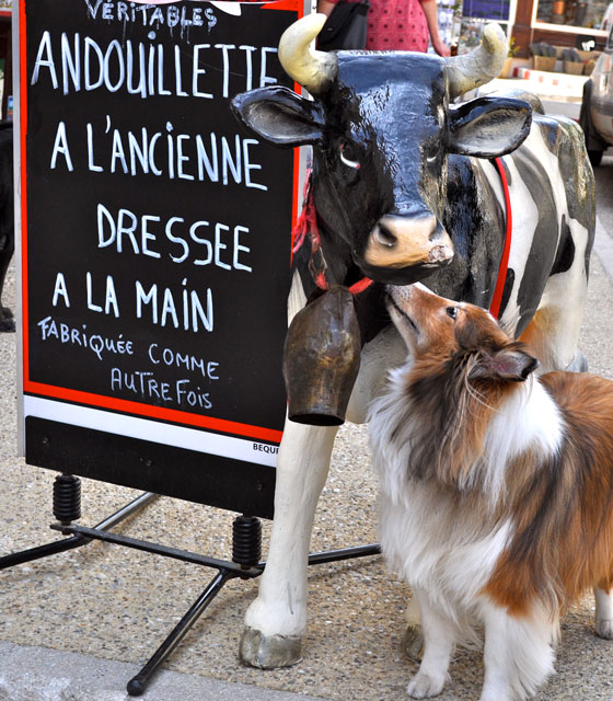 Dog nuzzling a large plastic cow, illustrating life lessons for people on staying curious. (Image © Sheron Long)