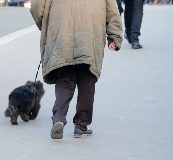 Person walking a cat, life lessons and memorable moments in Paris from the 2013 year in review (Photo © Meredith Mullins)