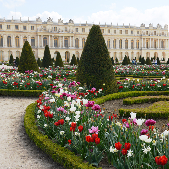 Flowers and trees of Versailles, showing life lessons and memorable moments in Paris from the 2013 year in review (Photo © Meredith Mullins)