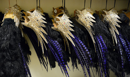 Blue and white feathers hanging backstage, the job of the feather master living life to the fullest with the right job. (Photo © Meredith Mullins)