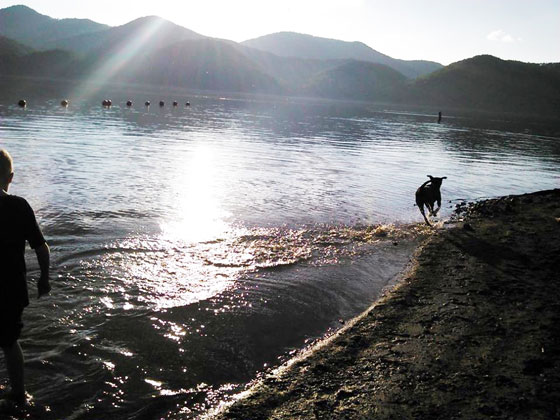 Dog splashing through water, illustrating life lessons from dogs on living in the moment to make a happy life. (Image © Lee McMullan)