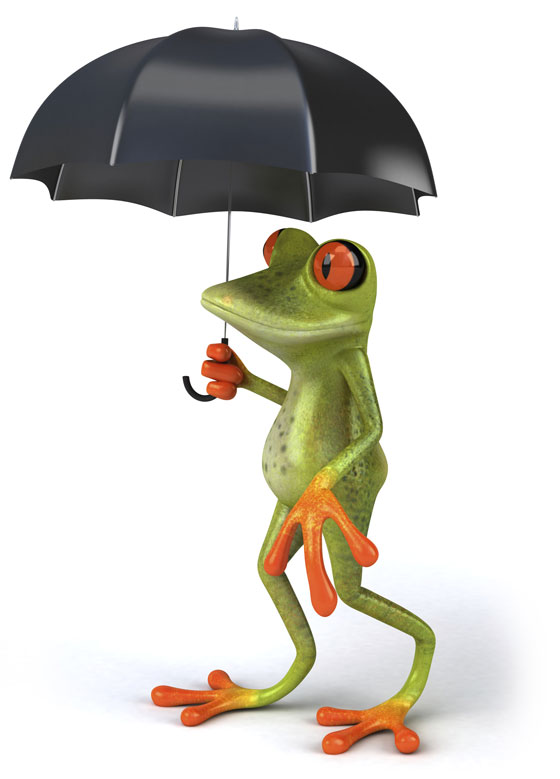 Frog holding an umbrella, symbolizing the use of frogs in rain sayings from different languages. (Image © julos / iStock)