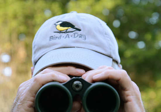 Birder with binoculars, trying to live life to the fullest with the bird a day challenge (Photo © Meredith Mullins)
