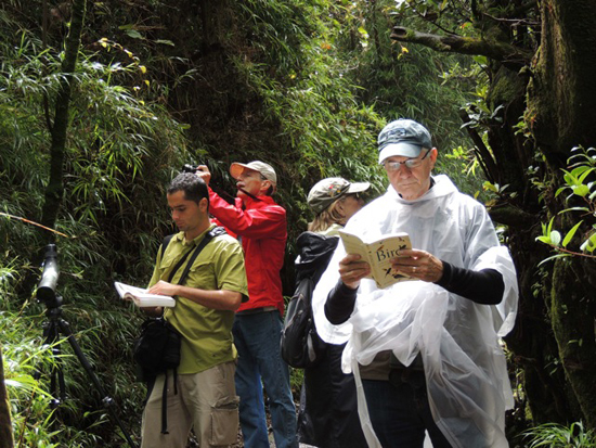 Birding group in Costa Rica, inspired to live life to the fullest with the bird-a-day challenge (© Mark Catesby)