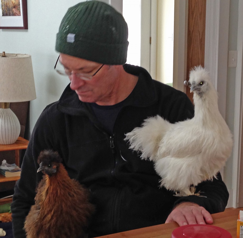 Man with backyard chickens indoors, showing how these pets can help you be happier. (Image © Jeff Corbin)