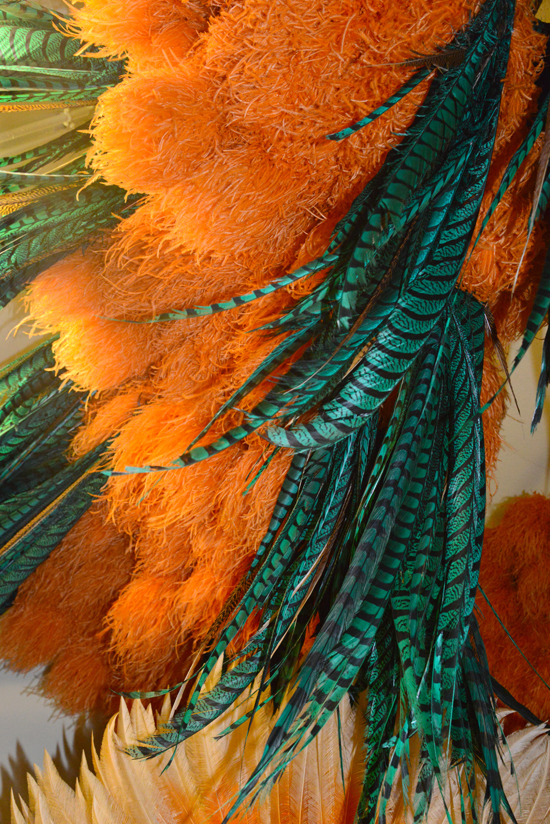 Orange and turquoise exotic feathers, waiting for a feather master at the Lido in Paris to underscore the concept of living life to the fullest with the right job. (Photo © Meredith Mullins)