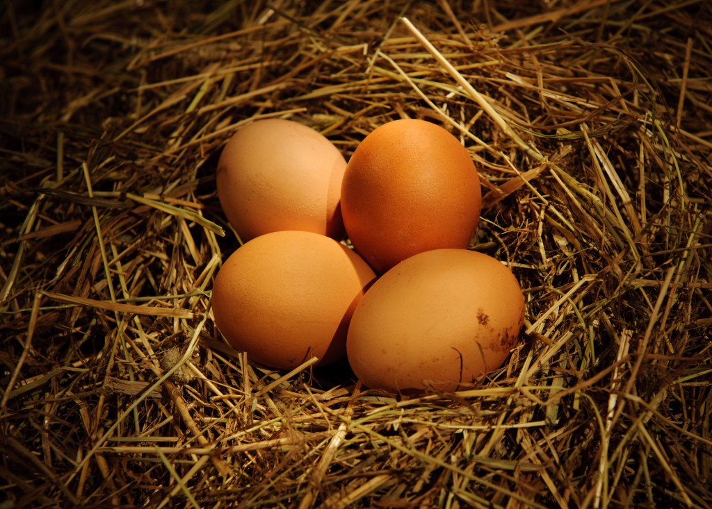 Fresh eggs from backyard chickens, illustrating one way these birds can help you be happier. (Image © stocknadia/Shutterstock)