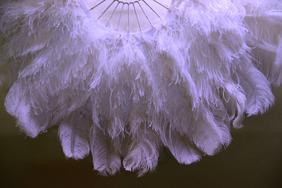 A white feather headdress at the Lido in Paris, waiting for a feather master, a job that allows for living life to the fullest (Photo © Meredith Mullins)
