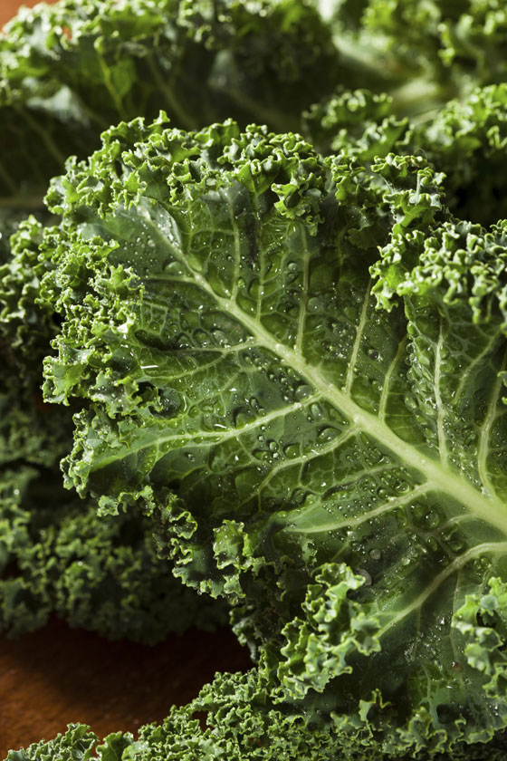 A kale leaf, part of Kristen Beddard's life-changing experiences with The Kale Project in Paris