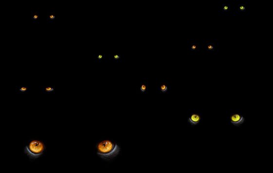 Cat eyes glowing in the dark, illustrating wordplay of changing an "atmospheric condition" to "catmospheric condition," a game enjoyed by word lovers. (Image © Eric Gevaert / Hemera)