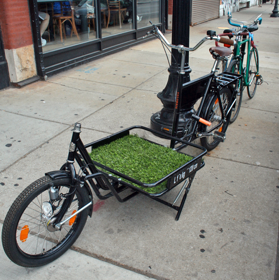 A combination bike and lawn, illustrating how creative thinking can redefine public parks.
