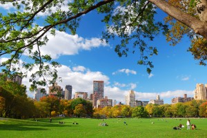 Sunny day in central park, illustrating a model for public parks that creative thinking is expanding. (Image © Songquan Deng/Shutterstock)