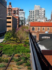The High Line in New York City, illustrating how creative thinking is redefining public parks. (Image © duckeesue/Shutterstock)