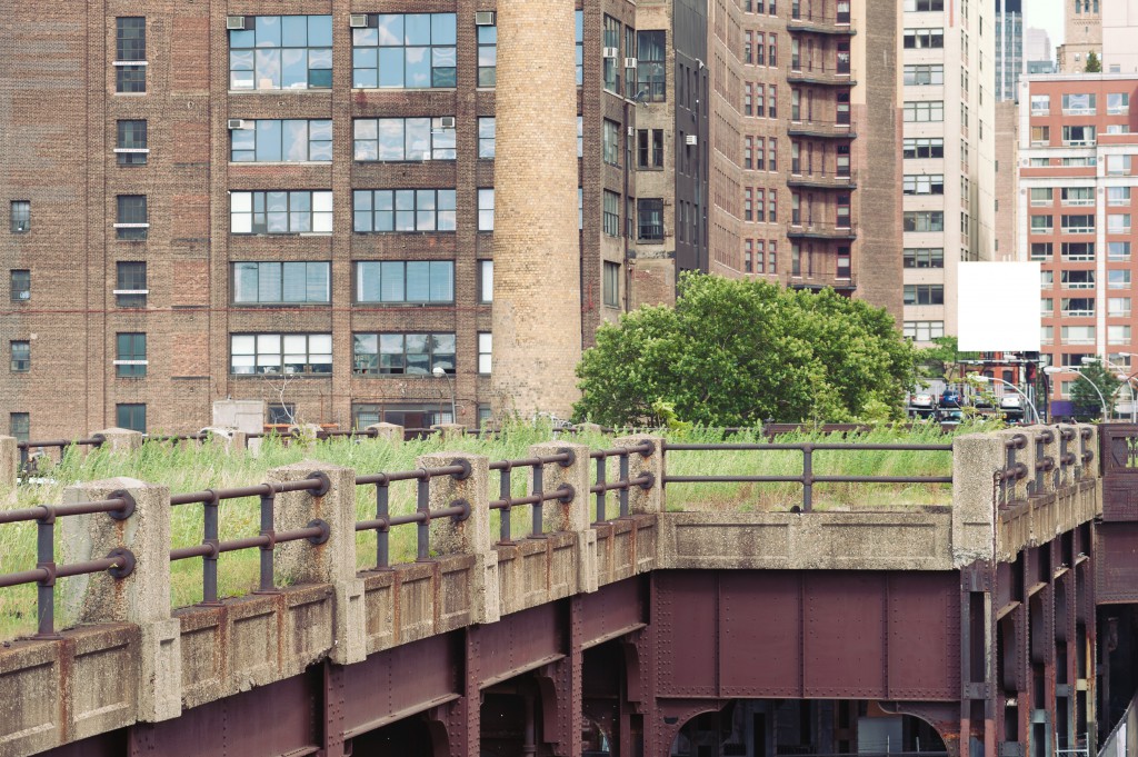 High Line in New York City, illustrating how creative thinking has redefined public parks. (Image © pio3/Shutterstock)