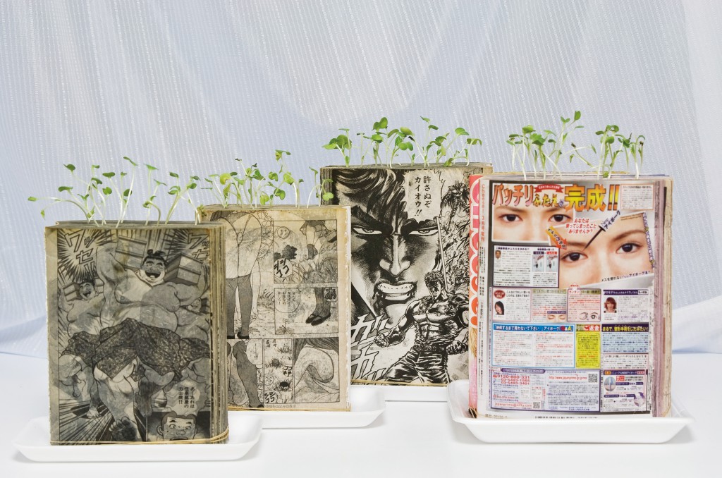 Four manga farms on display, showing the result of Koshi Kawachi's creative process. (Image © Koshi Kawachi)