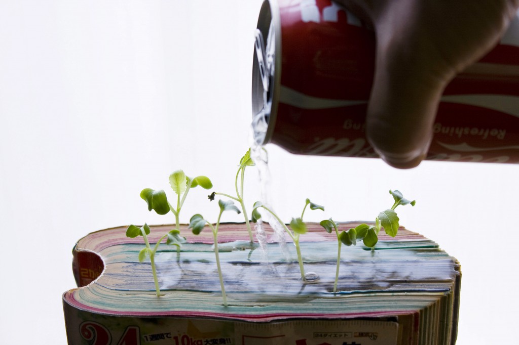 Pouring water onto radish seedlings sprouting from the pages of Japanese manga comics. (Image © Koshi Kawachi)