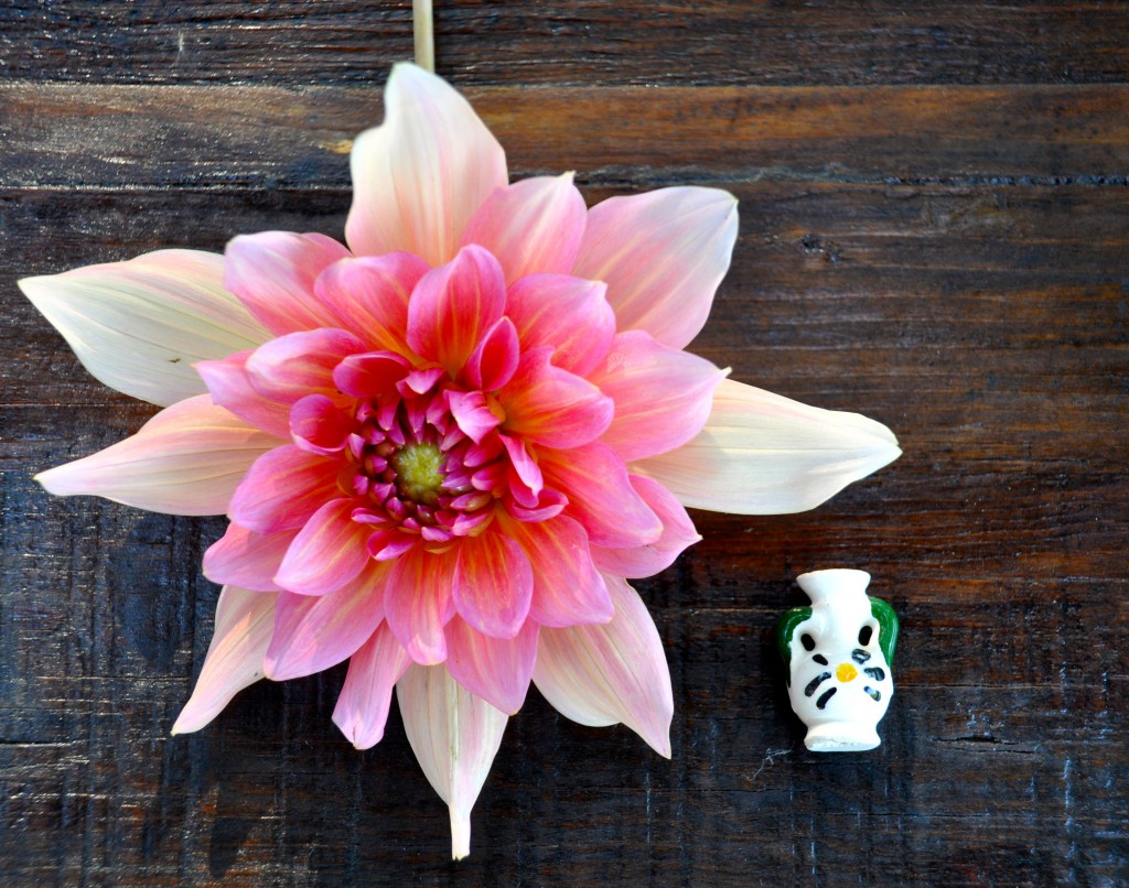 A pink dahlia next to a miniature vase, crafted by a Mexican artisan and part of the folk art of Mexico. (Image © Sheron Long)