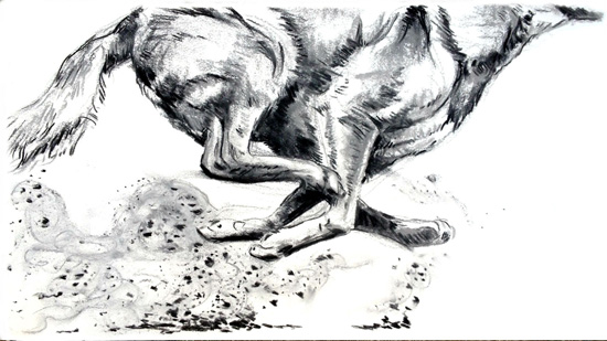 Drawing of one of the dogs of Mexico, part of the life lessons learned on an adventure cycling trip to Mexico (Drawing © Eva Boynton)