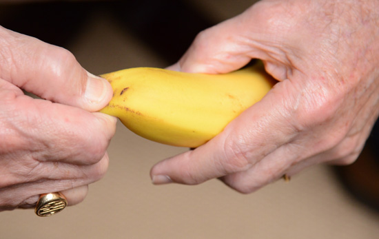 Man pinching bottom of a banana to peel it, representing cultural encounters and uses of bananas around the world (Photo © Meredith Mullins)