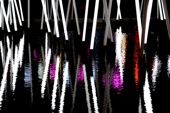 Bamboo Forest, a light installation at Fête des Lumières in Lyon, showing the art of light. (Photo © Meredith Mullins)