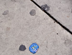 Sidewalk with several gum globs, one of which has been painted by Ben Wilson, a London street artist. (Art © Ben Wilson; photo © Sheron Long)