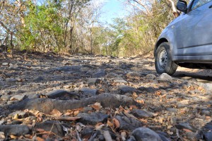 Rocky, rough road through Santa Rosa National Park in Costa Rica leads to a beautiful beach. (Image © Sheron Long) 