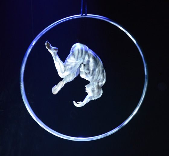 Travel pleasure provided by Matthew Richardson, a circus performer with the cyr wheel, demonstrating circus arts at the Paris Circus of Tomorrow (Photo © Meredith Mullins)