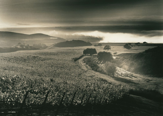 Landscape photography (Santa Lucia Highlands) by Roman Loranc showing a slice of California scenery, mountains and sea. (Image © Roman Loranc)