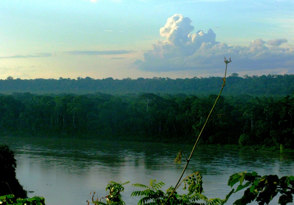 The Amazon river with a wall of rainforest behind it and one cloud in the sky, a magnificent discovery during a winter semester in the Amazon rainforest, proving why study abroad is so important. (Image © Eva Boynton)