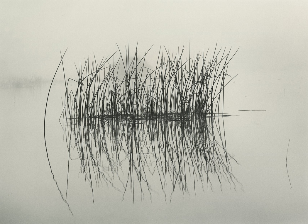 Landscape Photography with a Deep Sense of Place | OIC Moments - OIC ...