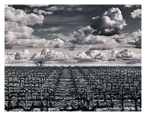 Landscape photography (Crucified Landscape) by Roman Loranc showing a slice of California scenery, fields and clouds. (Image © Roman Loranc)