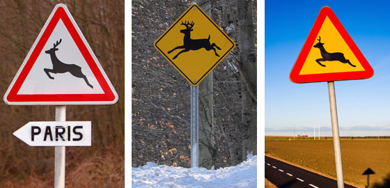 Three deer crossing signs: white, triangular sign with red border and deer from France; yellow diamond-shaped sign with black border and deer from Canada; yellow triangular sign with red border and deer from Sweden, illustrating how road signs can vary in different cultures. [Image © alblec (Canada) / © 221A (Sweden)]