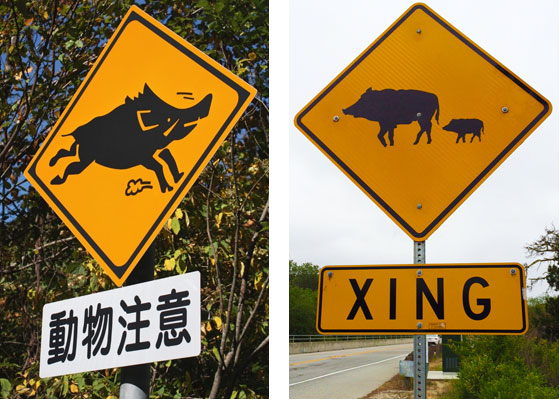Two road signs warning of a wild boar crossing, the one on the left from Japan and the one on the right from Carmel, CA, illustrating the same animal depicted on road signs in different cultures. (Image © Spontaneous Pictures (L) and © Sheron Long (R)