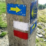 A yellow arrow sign on the side of the Camino de Santiago for walkers to follow, showing the start of the travel ninja's education in travel tips. (Image © Eva Boynton)