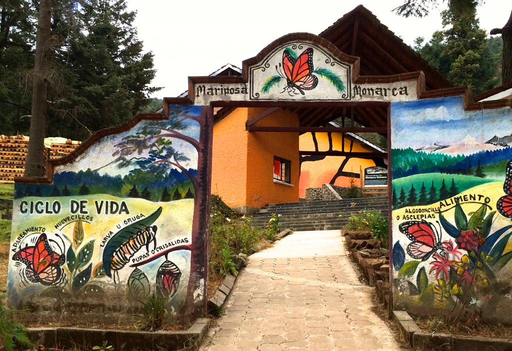 Entrance to Mexico's El Rosario sanctuary for the monarch butterfly, illustrating the important work of global citizens in monarch conservation. (Image © Carol Starr)