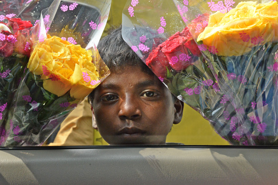 Flower seller, car-to-car, cultural encounters in Northern India that provide travel inspiration. (Image © Meredith Mullins)