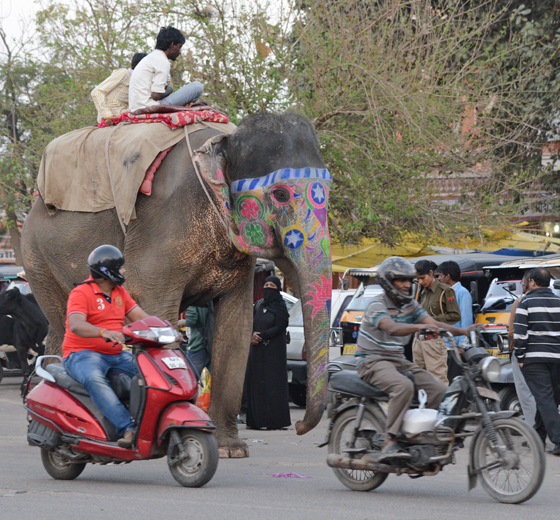 Delhi street, cultural encounters in Northern India that provide travel inspiration. (Image © Meredith Mullins)