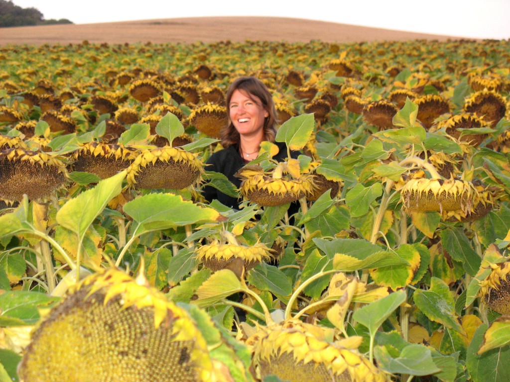 A pilgrim following her travel inspiration on the Camino de Santiago stands alone in a field of sunflowers. (Image © Jenna Tummonds)