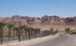 Highway through Wadi Rum lined with palm trees, experienced during trip where cultural barriers were bridged. (Image © Sally Baho)
