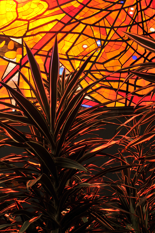 Plant set against the stained-glass walls of the Cosmovitral, a botanical garden and traveler's oasis in Toluca, Mexico. (Image © Dia Glez)