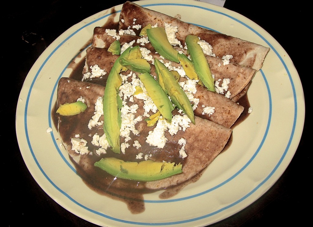 Dinner plate filled with tasty tortillas topped with queso fresco and avocado, illustrating the ongoing connection between tortillas eaten today and Mexico's cultural heritage and traditions. (Image © Eva Boynton)